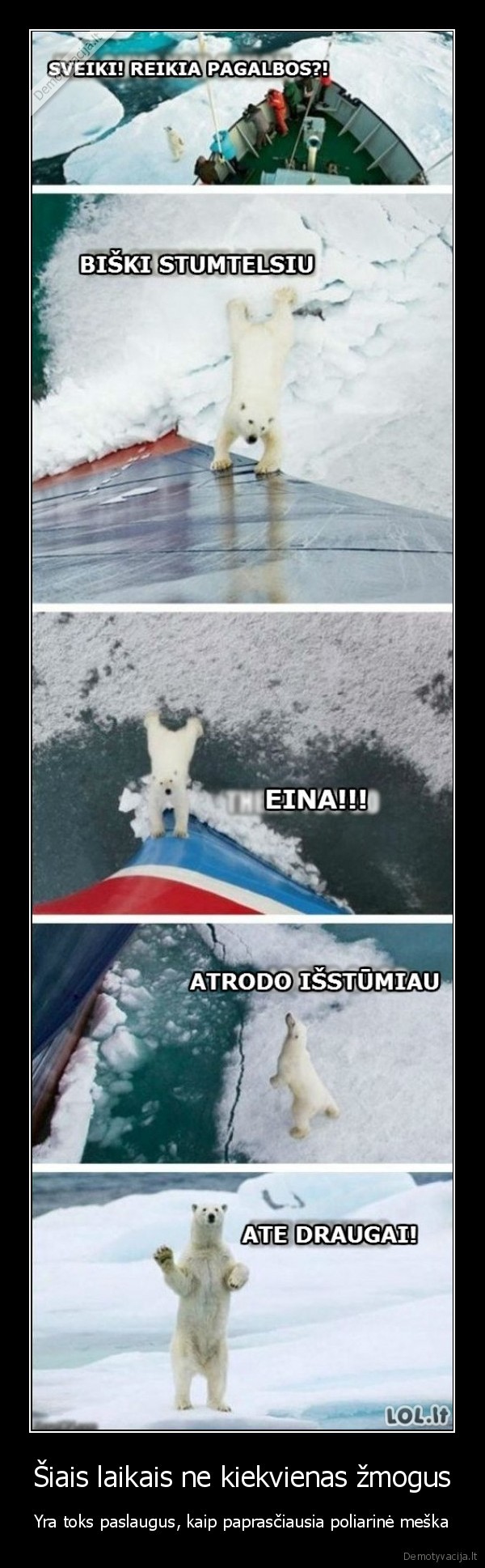 poliarine, meska,baltasys, lokys,juokingas, komiksas