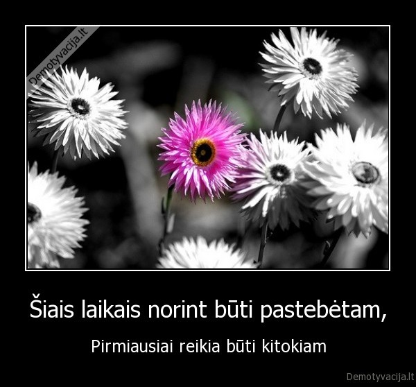 isskirtinumas,kitoks