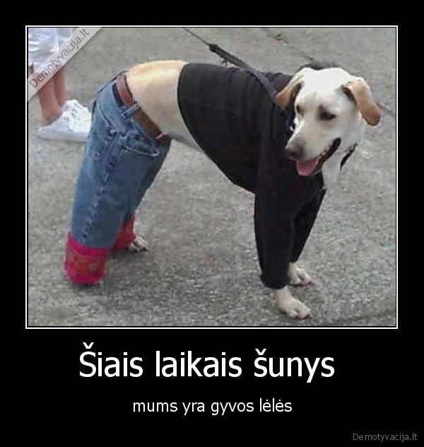 Šiais laikais šunys 