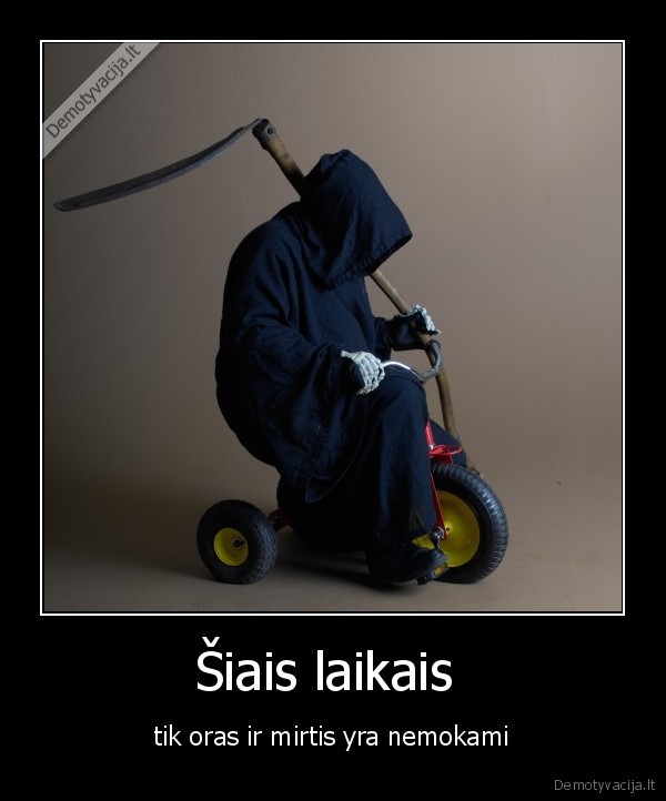 bubilius,apmokestina,ora