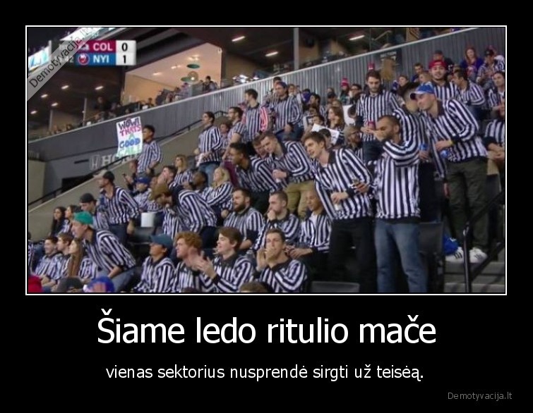 ledo, ritulys,sirgaliai,teisejas