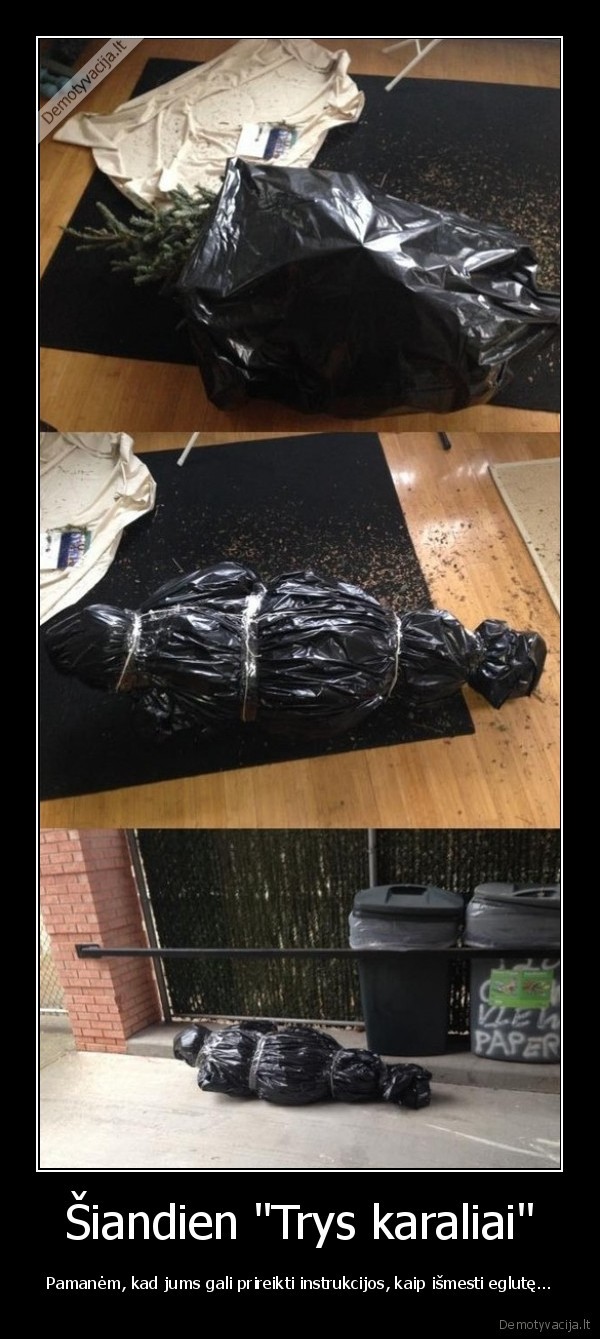 trys, karaliai,kaledine, egle,ismetimas