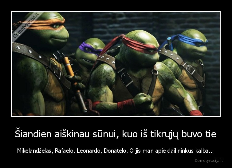 dailininkai,vezliukai,nindzes