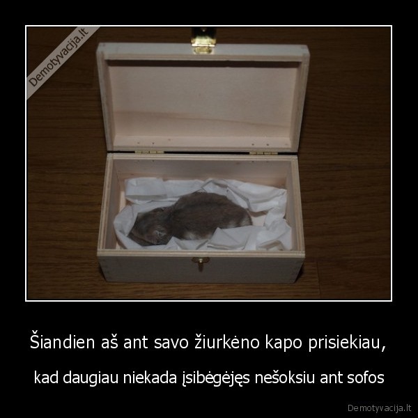 Šiandien aš ant savo žiurkėno kapo prisiekiau,