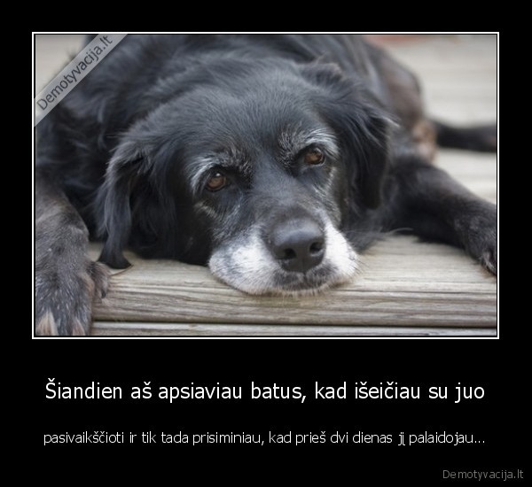 suns, mirtis,draugo, mirtis,suniukas