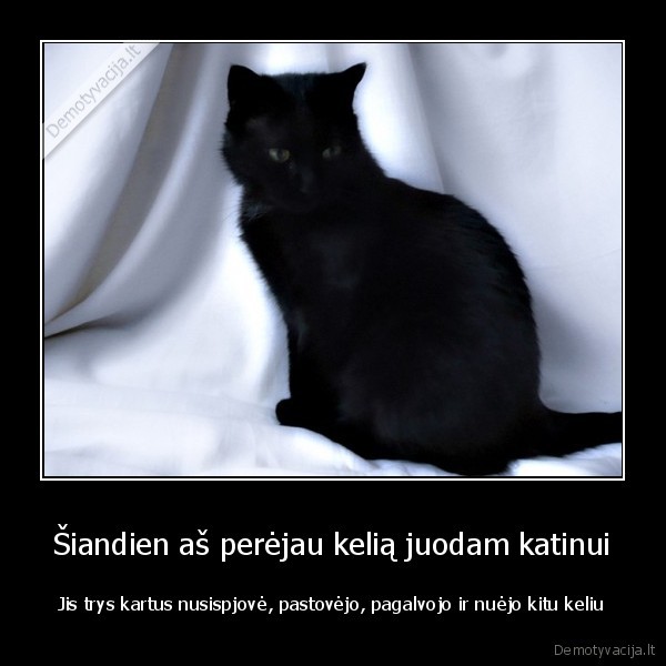 Šiandien aš perėjau kelią juodam katinui