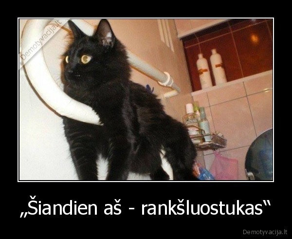 kate,katinas,ranksluostis,gyvatukas