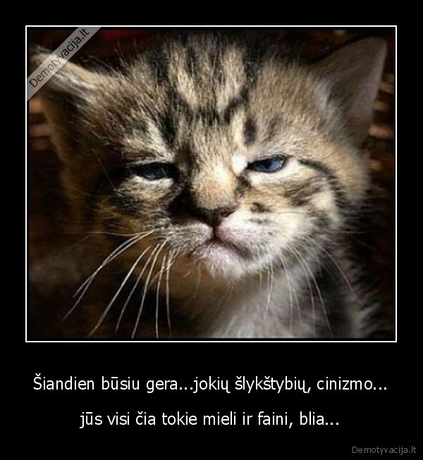Šiandien būsiu gera...jokių šlykštybių, cinizmo...