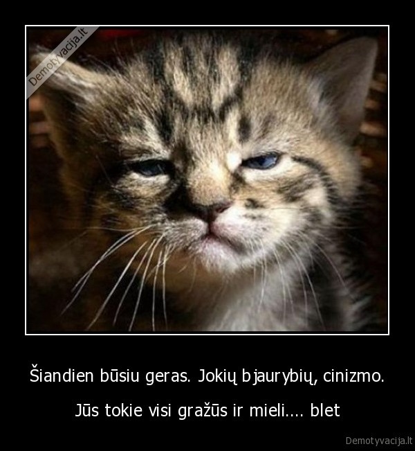 siandien, busiu, geras,bjaurybes,cinizmas,grazus,mieli,ble,blet