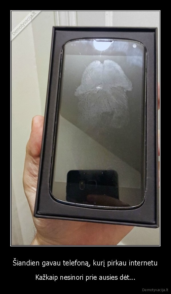 bibio, antspaudas,telefonai, internetu