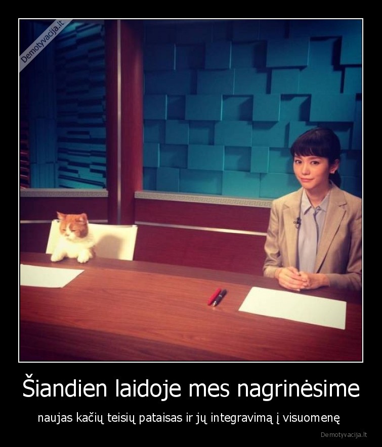 kate,katinai,teises,laida