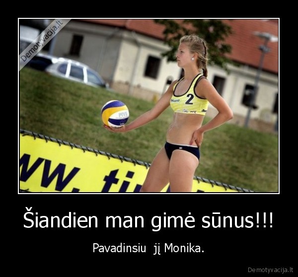 monika, povilaityte,tinklinis