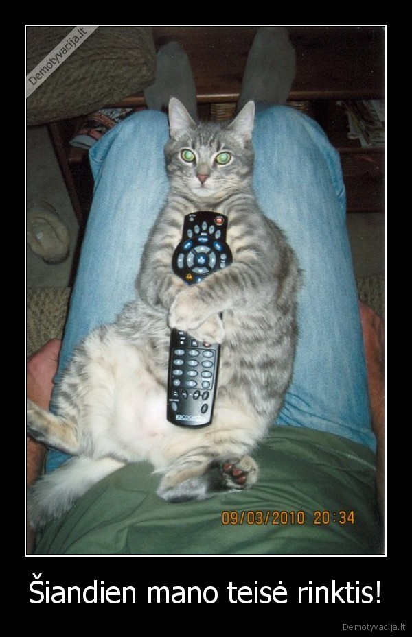 Šiandien mano teisė rinktis!