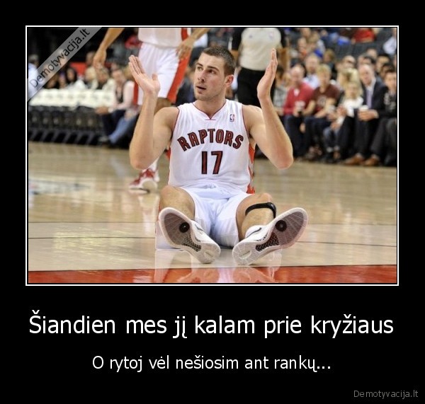 jonas, valanciunas,girtas, uz, vairo