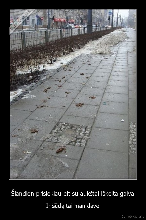 Šiandien prisiekiau eit su aukštai iškelta galva