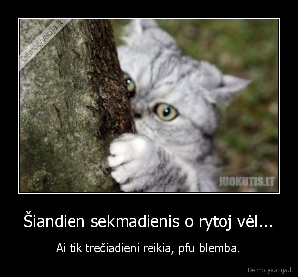 Šiandien sekmadienis o rytoj vėl...