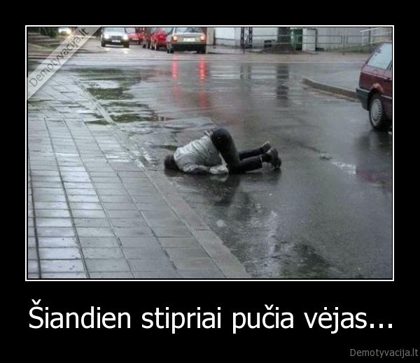 Šiandien stipriai pučia vėjas...