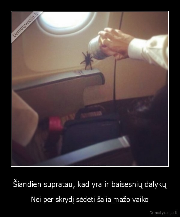 dideli, voras,skrydis, lektuvu