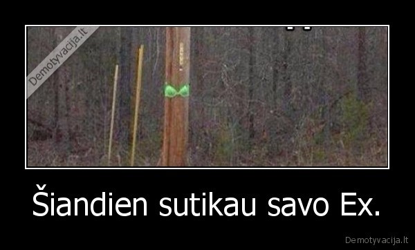 ex,panele,malkos,medis