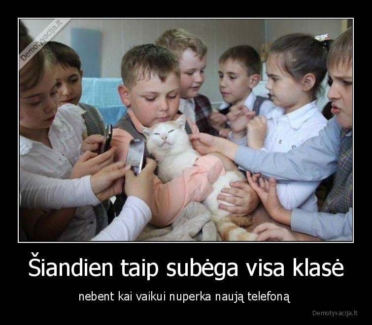 telefonas,katinas,klase,vaikai