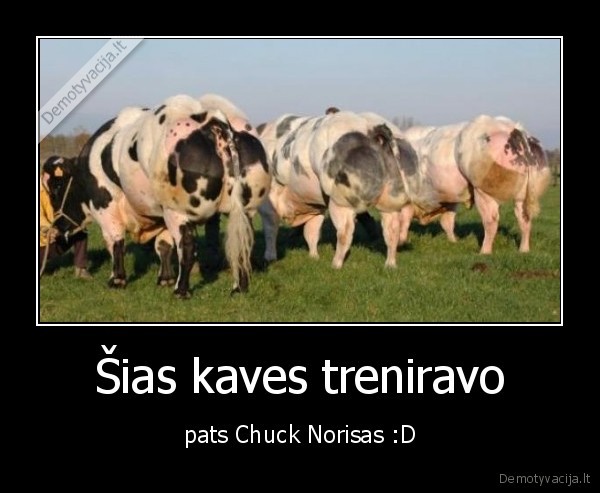 kaves,chuck, norisas, 