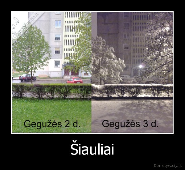 ziema,ziema,siauliai,siauliai