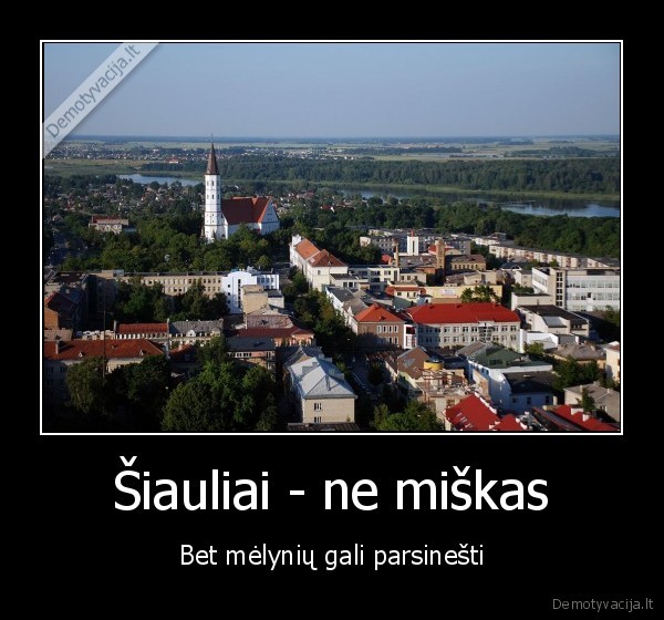 siauliai,marozai,mustynes