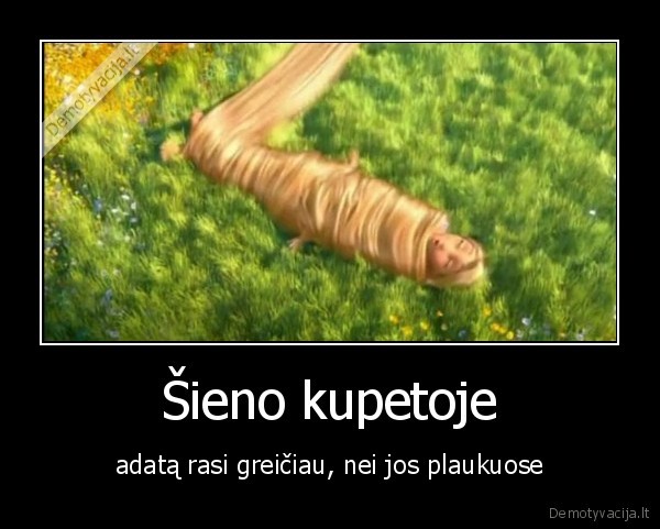 ilgo, plauko, istorija,filmas