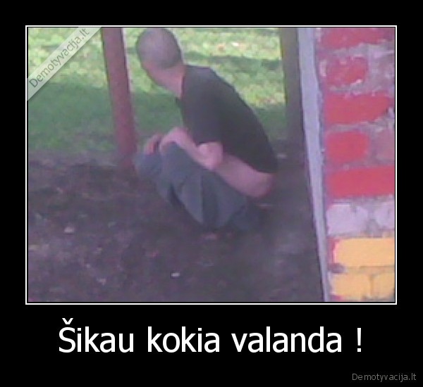 Šikau kokia valanda !