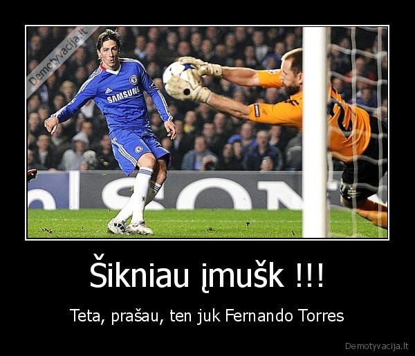 fernando,torres,fule,futbolas,funny,juokingas