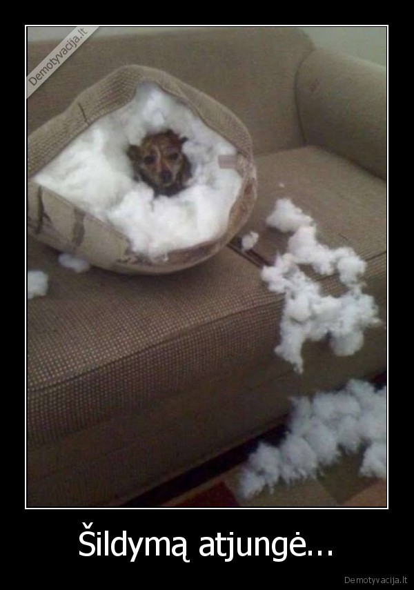 sildymas,pagalves, pamusalas,suo