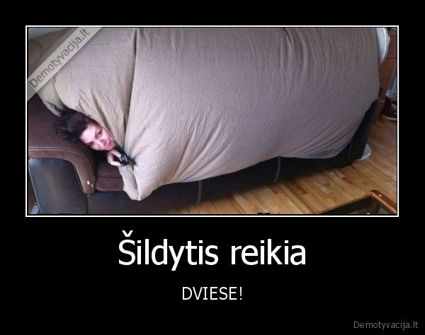 saltis,salta,lova,antklode