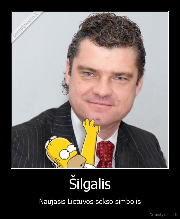 zilvinas,silgalis,houmeris,seimas