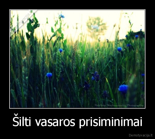 Šilti vasaros prisiminimai