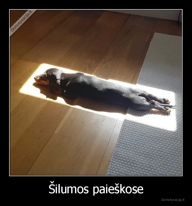 siluma,silta,suo,saule