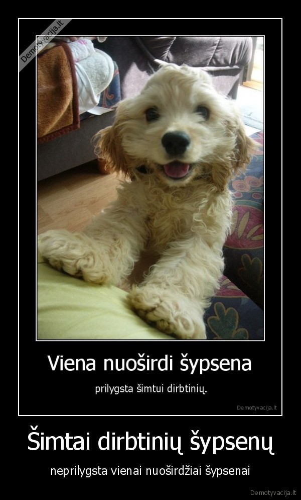 Šimtai dirbtinių šypsenų