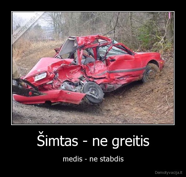 avaija, car, crash, medis, stabdis
