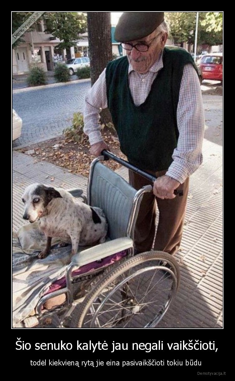 suo,senelis,meile,gyvunai