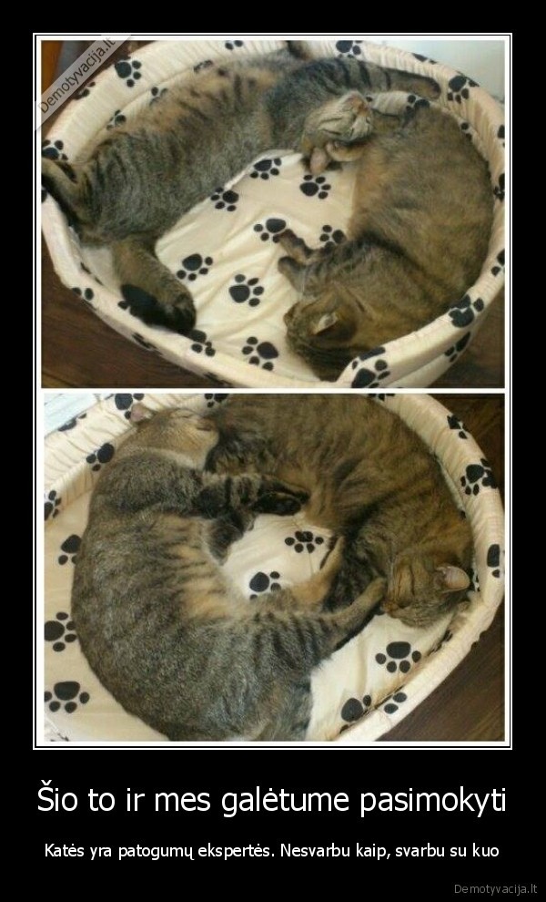 Šio to ir mes galėtume pasimokyti