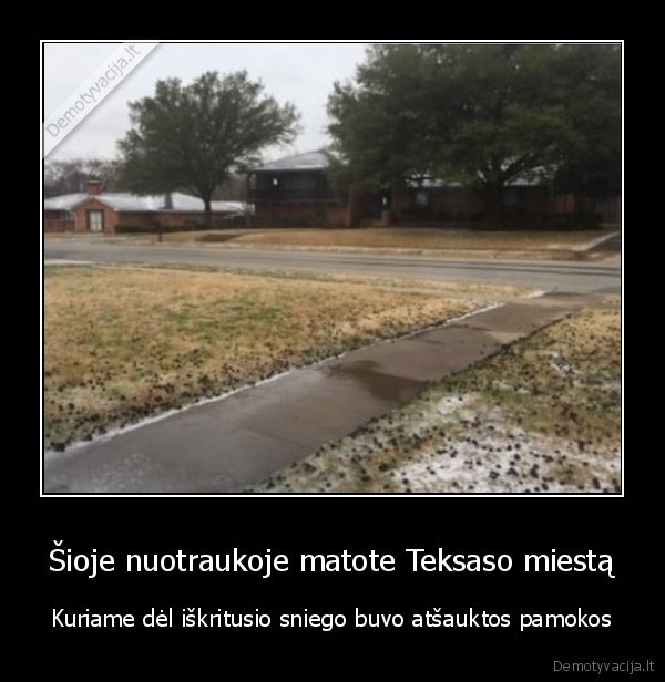 nereikia, i, mokykla,sniegiukas