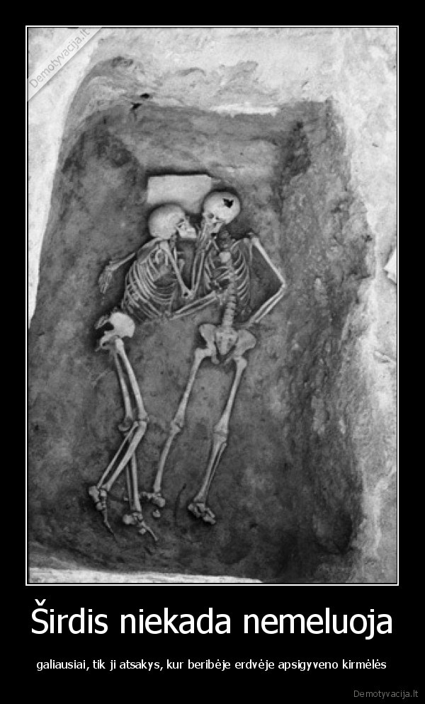 meile,sirdis,laikrodininkas,kirmeles