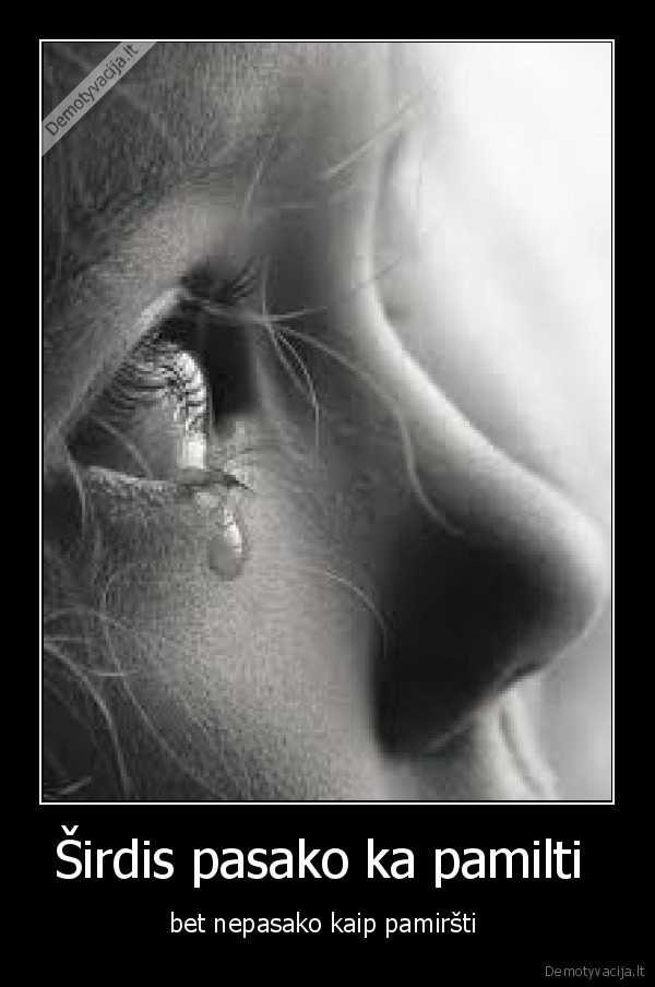 Širdis pasako ka pamilti 