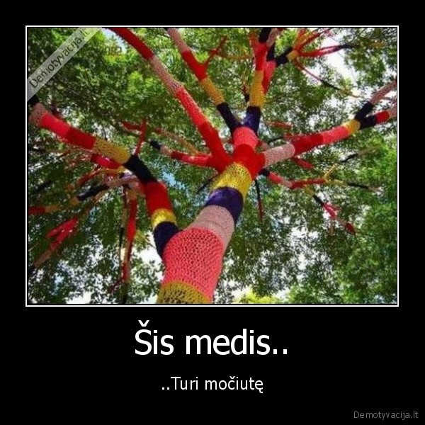 Šis medis..