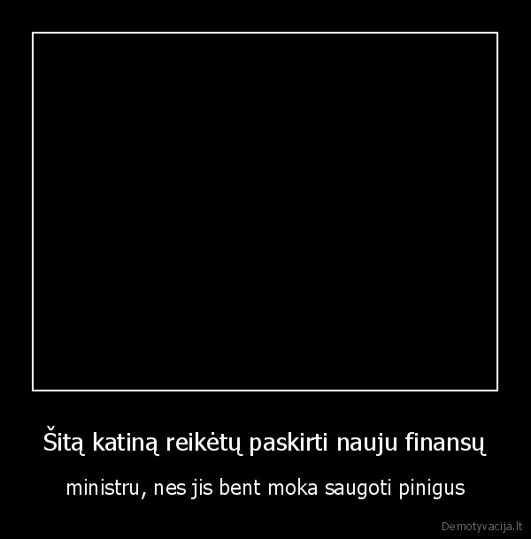pinigai,katinas