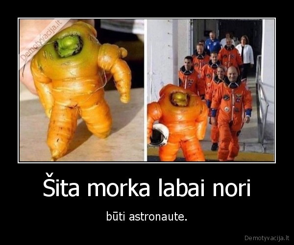 morka,astronaute