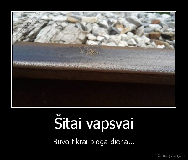 traukinio, begiai,sutraiskyta, vapsva