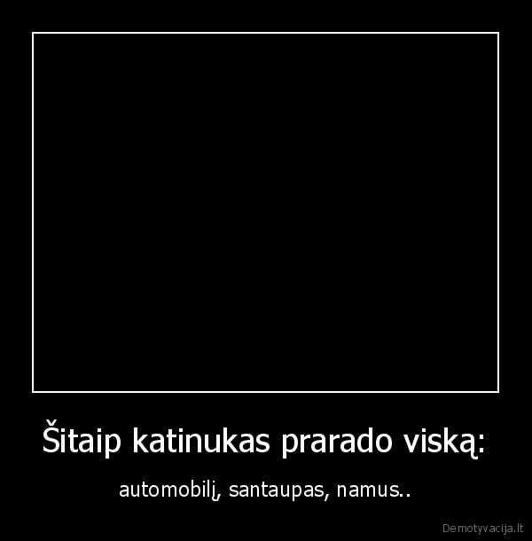 Šitaip katinukas prarado viską: