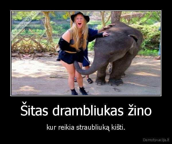 dramblys,drambliukas,mergina,straublys