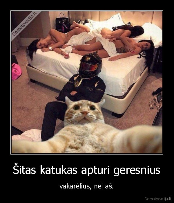 katinas,vakarelis,merginos