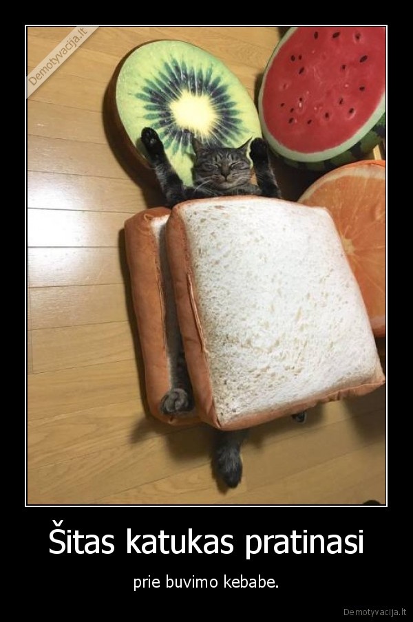 katinas,kate,kebabas